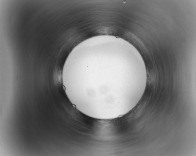 X0000091570095200709171105