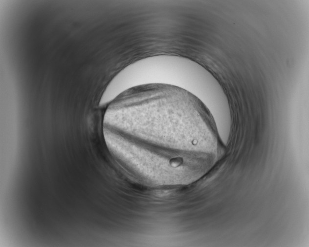 X0000091570096200709171105