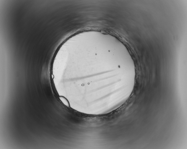 X0000091570100200709171105