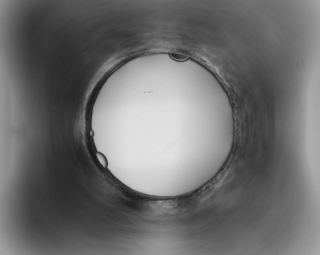 X0000091570102200709171105