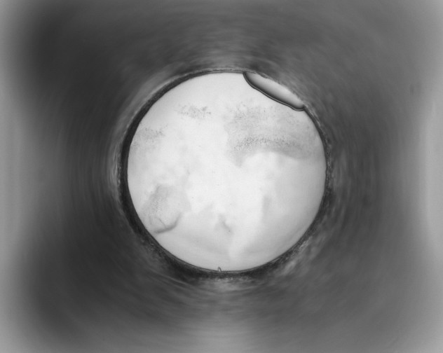 X0000091570103200709171105