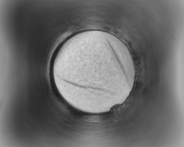 X0000091570104200709171105