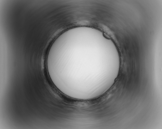 X0000091570106200709171105