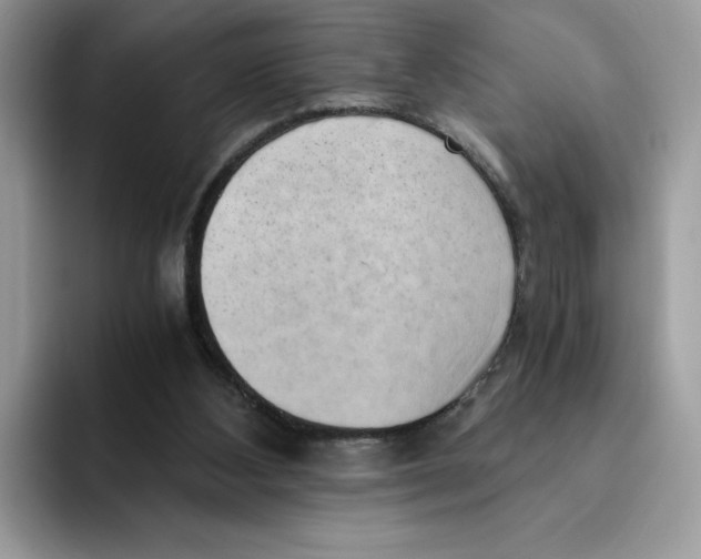 X0000091570108200709171105