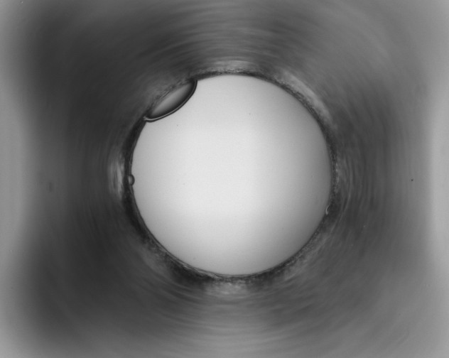 X0000091570110200709171105