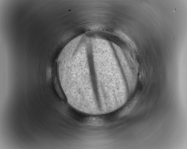 X0000091570117200709171105