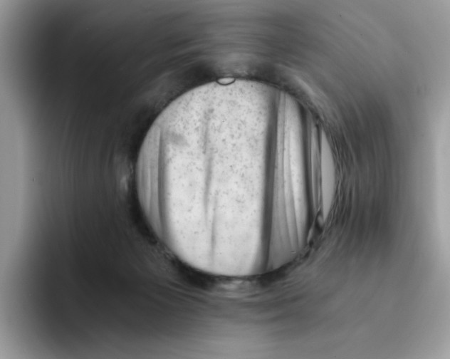 X0000091570125200709171104