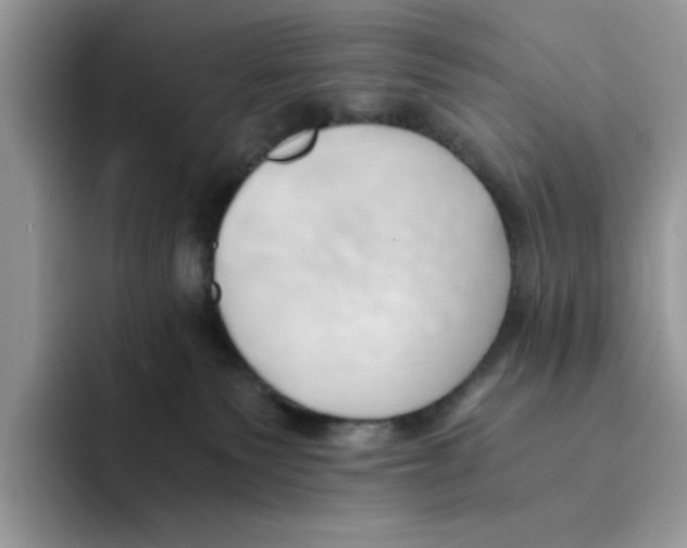 X0000091570135200709171104