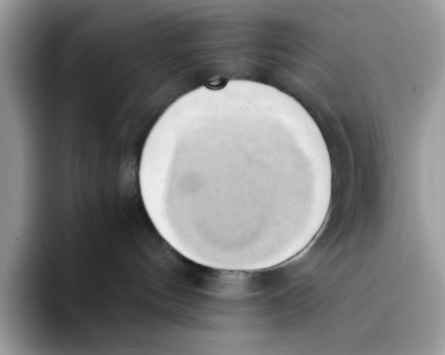 X0000091570144200709171104