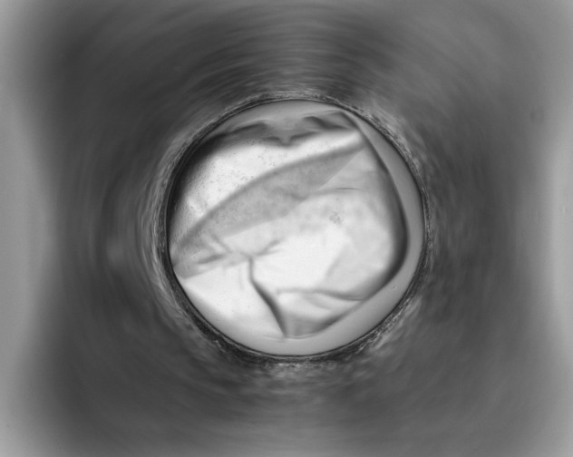 X0000091570145200709171104