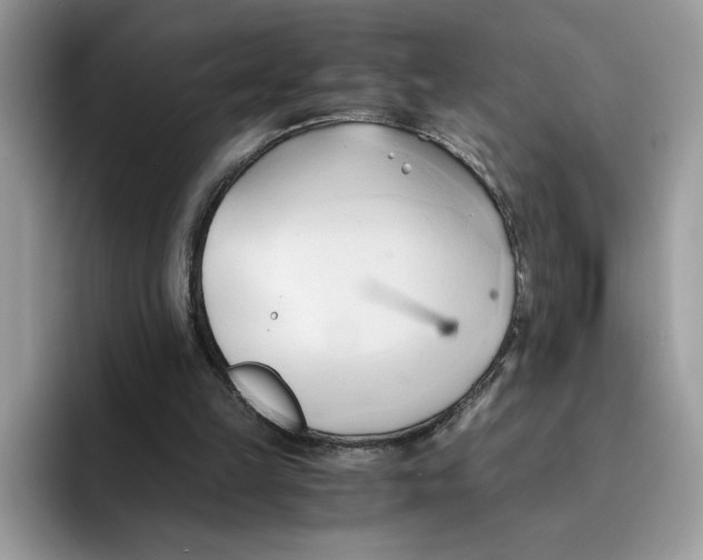 X0000091570149200709171104