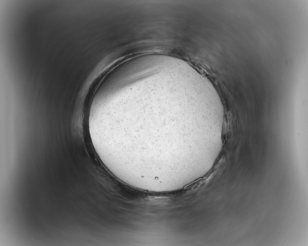 X0000091570150200709171104