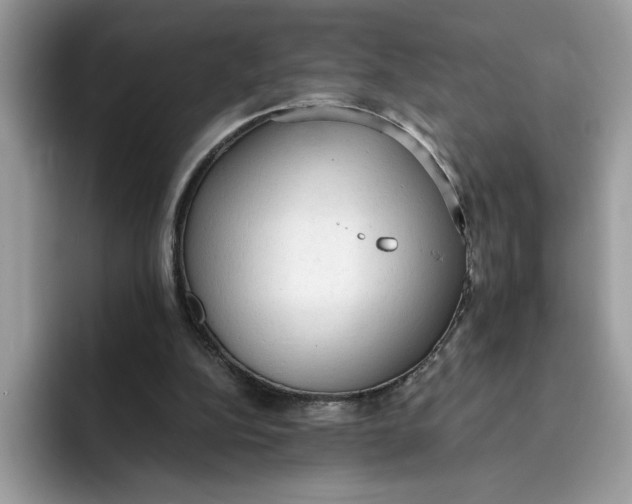 X0000091570152200709171104