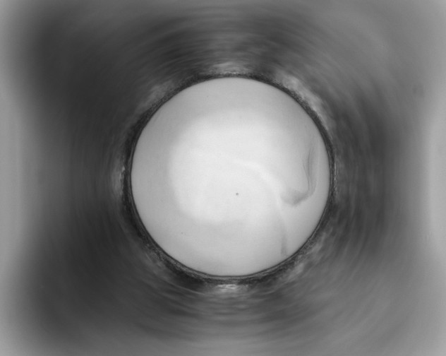 X0000091570153200709171104