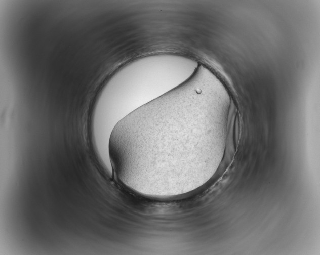 X0000091570154200709171104