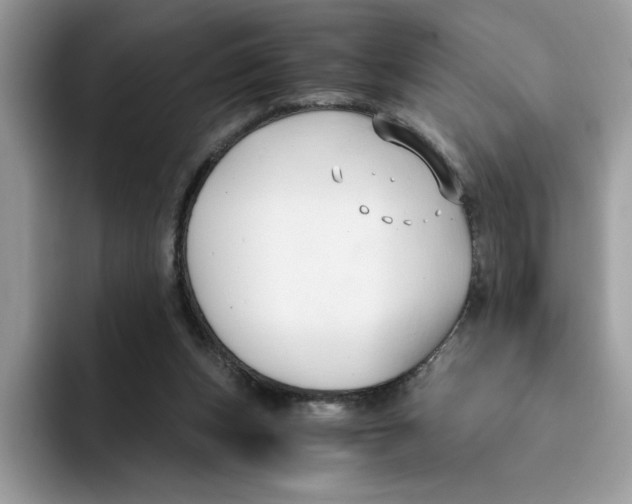 X0000091570159200709171104