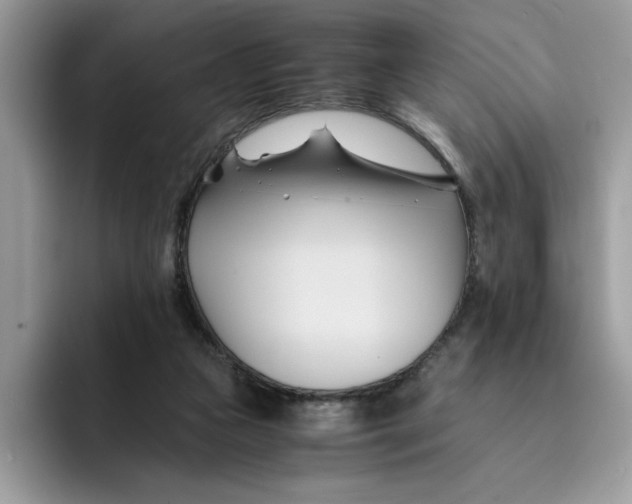 X0000091570161200709171104