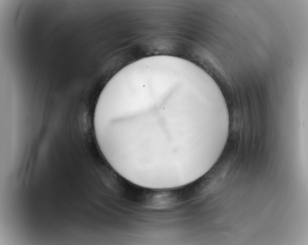 X0000091570173200709171104