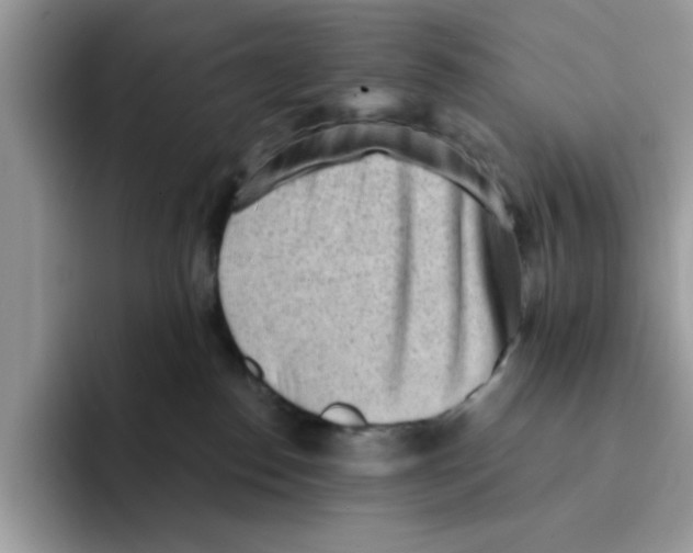 X0000091570186200709171104