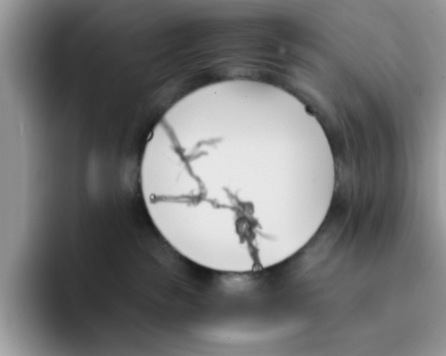 X0000091570189200709171104