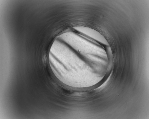 X0000091570190200709171104