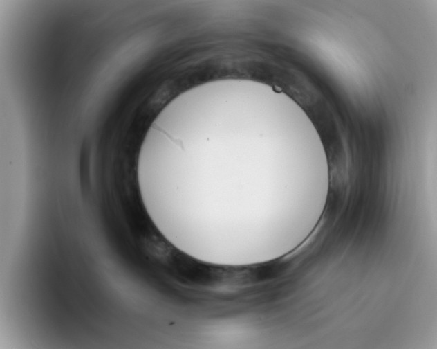 X0000091570191200709171104