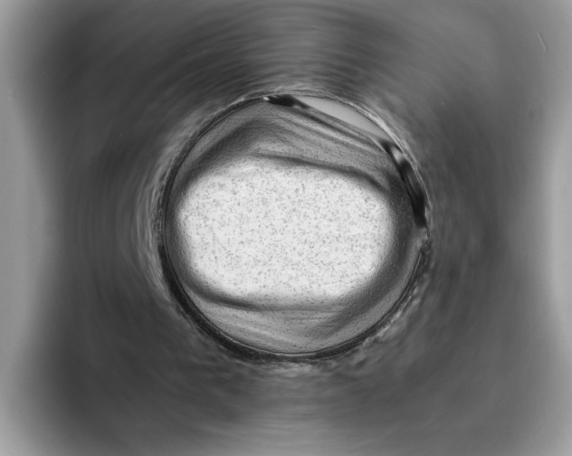 X0000091570193200709171104