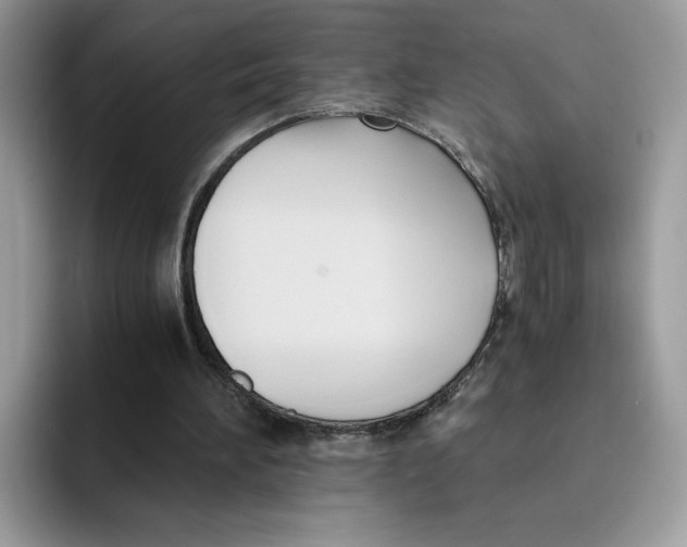 X0000091570196200709171103