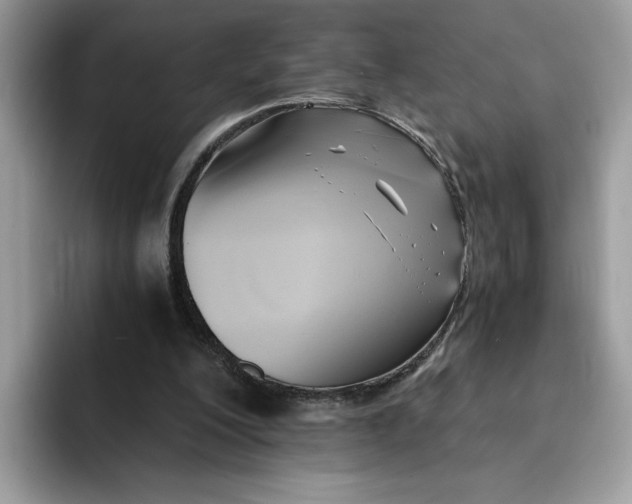 X0000091570200200709171103