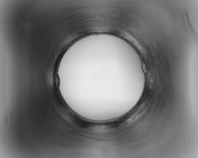 X0000091570203200709171103