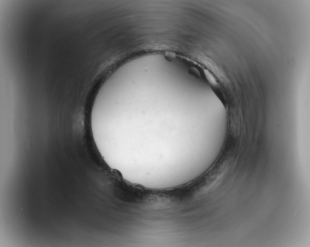 X0000091570207200709171103