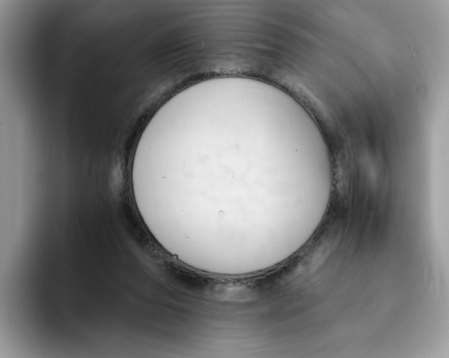 X0000091570208200709171103