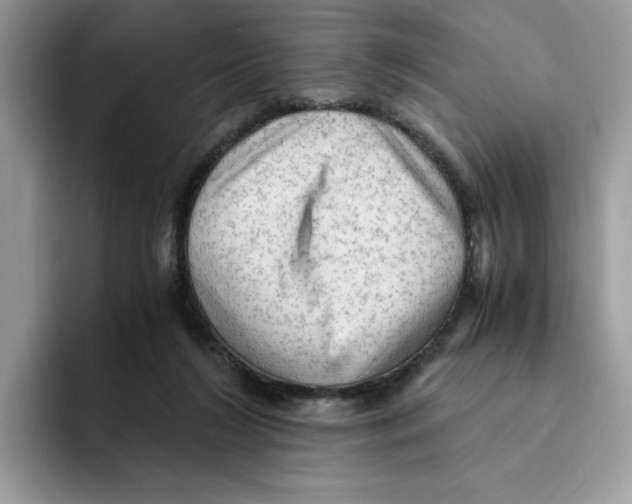 X0000091570212200709171103