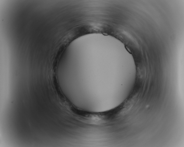 X0000091570223200709171103