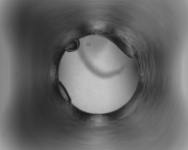 X0000091570231200709171103