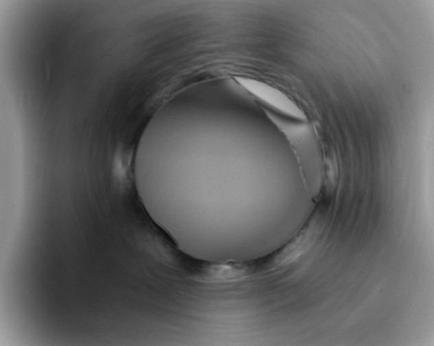 X0000091570239200709171103