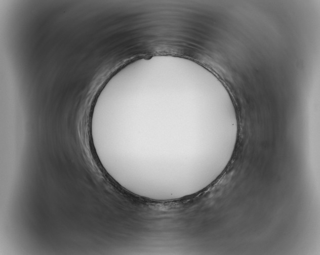 X0000091570241200709171102