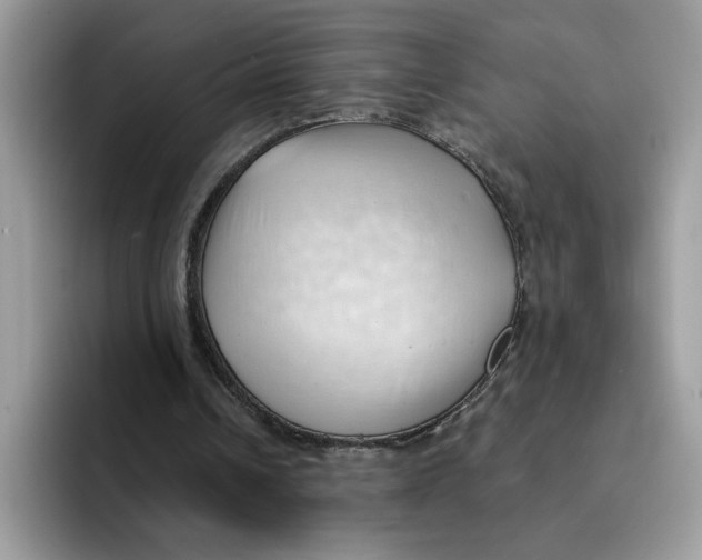 X0000091570242200709171102