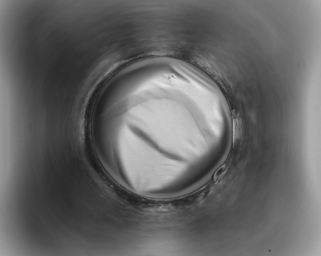 X0000091570243200709171102