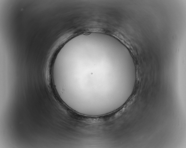 X0000091570245200709171102