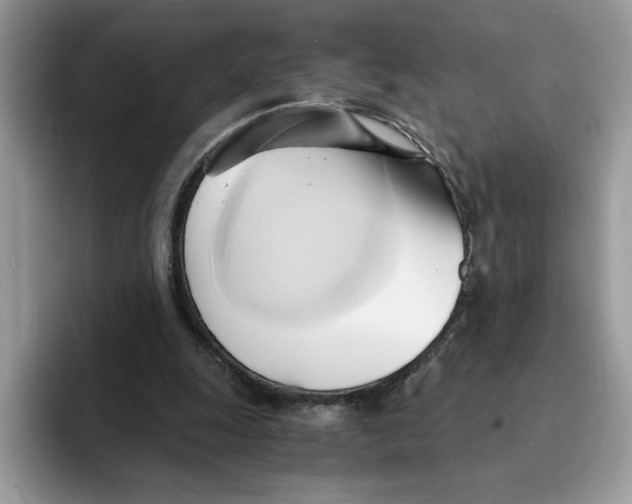 X0000091570247200709171102