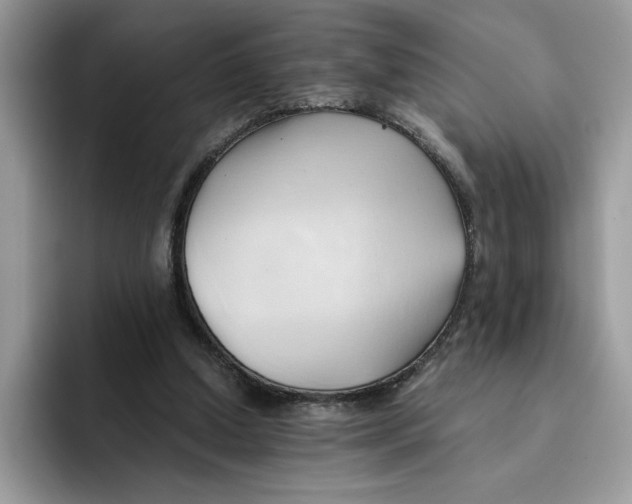 X0000091570250200709171103