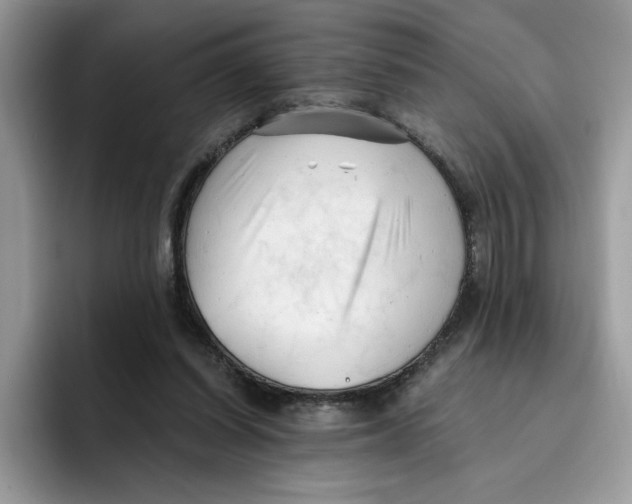 X0000091570254200709171103