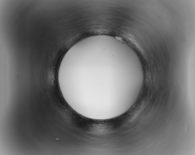 X0000091570259200709171103