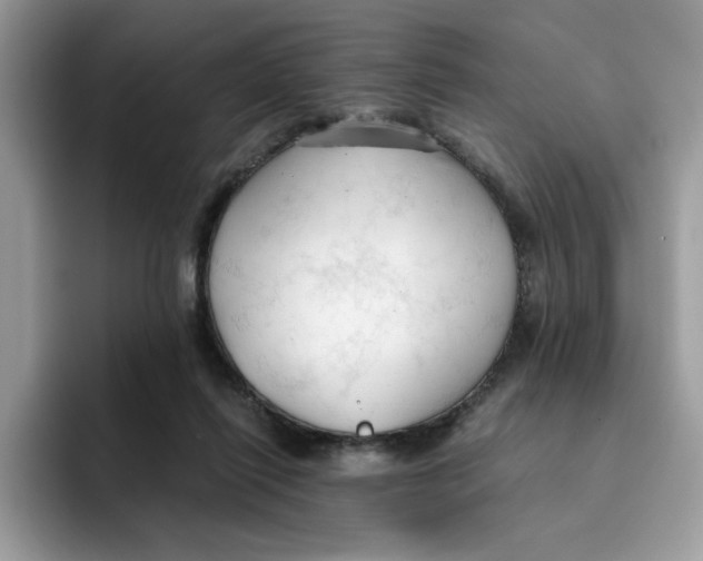 X0000091570262200709171103