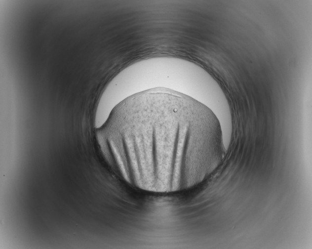 X0000091570268200709171103