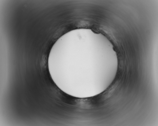 X0000091570273200709171103