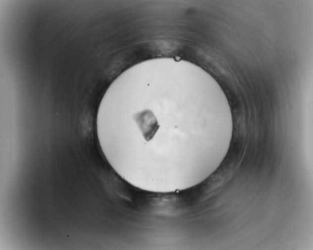 X0000091570274200709171103