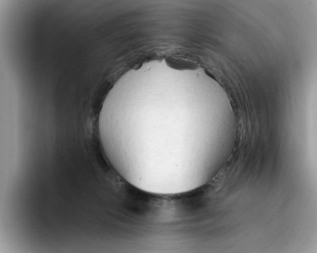 X0000091570276200709171103