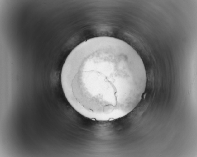 X0000091570278200709171103